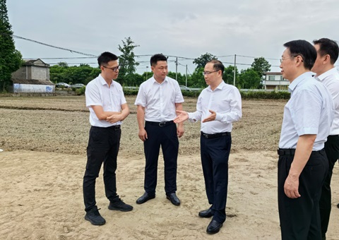 胡云赴眉山调研耕地；；；；；；な褂煤透弑曜寂┨锝ㄉ枋虑