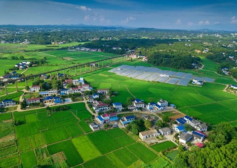 湖南：靶向发力盘活存量土地资产<br>为206家机关企事业单位定制处理方案，，盘活土地2.6万亩
