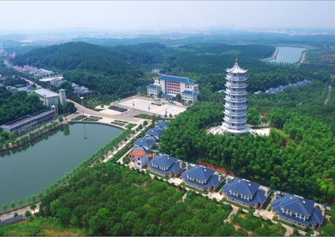 湖北：用好“一张图” ，，，，，，智治有支持